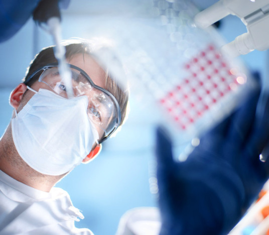 immunoterapia oncologica, le scoperte negli ultimi anni