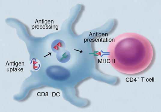 microimmunoterapia omeopatica
