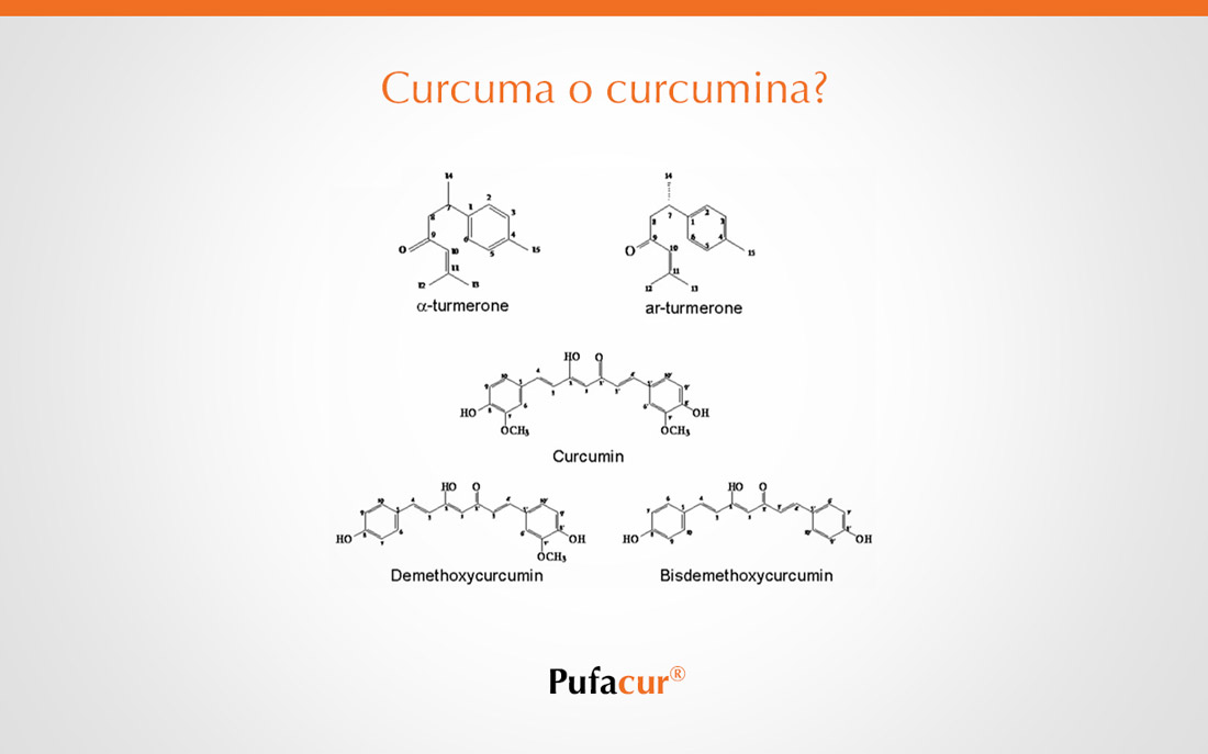 Curcuma o curcumina? I principi attivi della curcuma