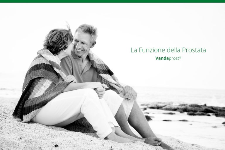 prostata ghiandola funzione è quella di produrre un liquido dalla composizione chimica molto complessa, il liquido spermatico, che serve a veicolare gli spermatozoi prodotti dai testicoli, garantendo loro vitalità e motilità.