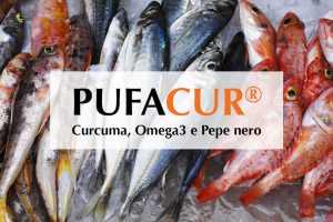 Acidi grassi polinsaturi Omega-3: ALA EPA DHA - Vanda Omeopatici