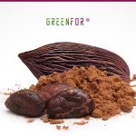 Greenfor®, le proprietà del Cacao
