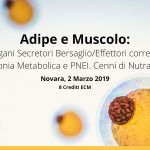 Novara, 2 Marzo 2019: Adipe e Muscolo: Organi Secretori Bersaglio/Effettori correlati all’Armonia Metabolica e PNEI