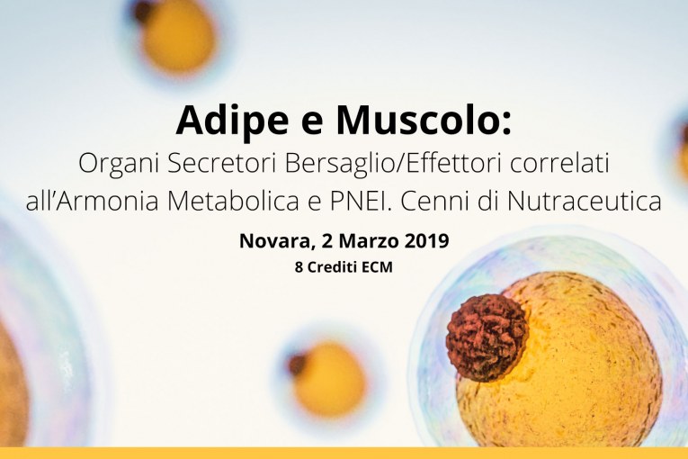 Novara, 2 Marzo 2019: Adipe e Muscolo: Organi Secretori Bersaglio/Effettori correlati all’Armonia Metabolica e PNEI