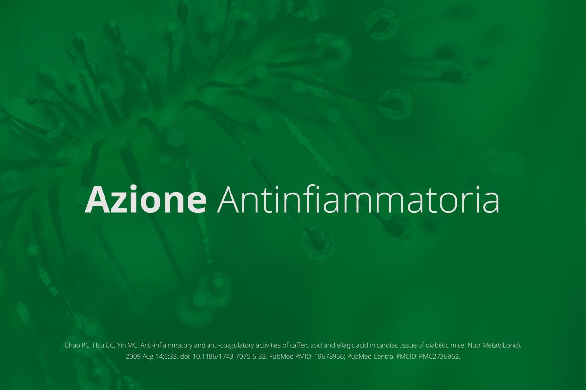 descrizione della proprietà antinfiammatoria