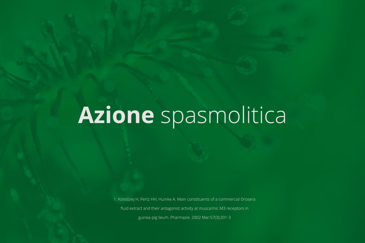 proprietà della drosera