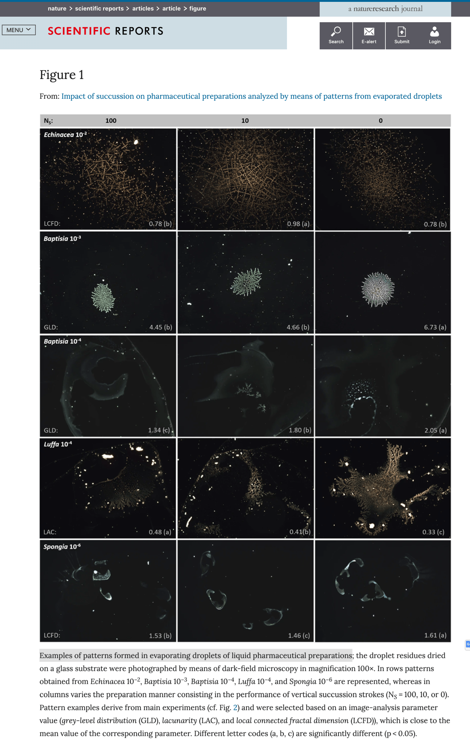 succussione medicinale omeopaticopattern evaporazione