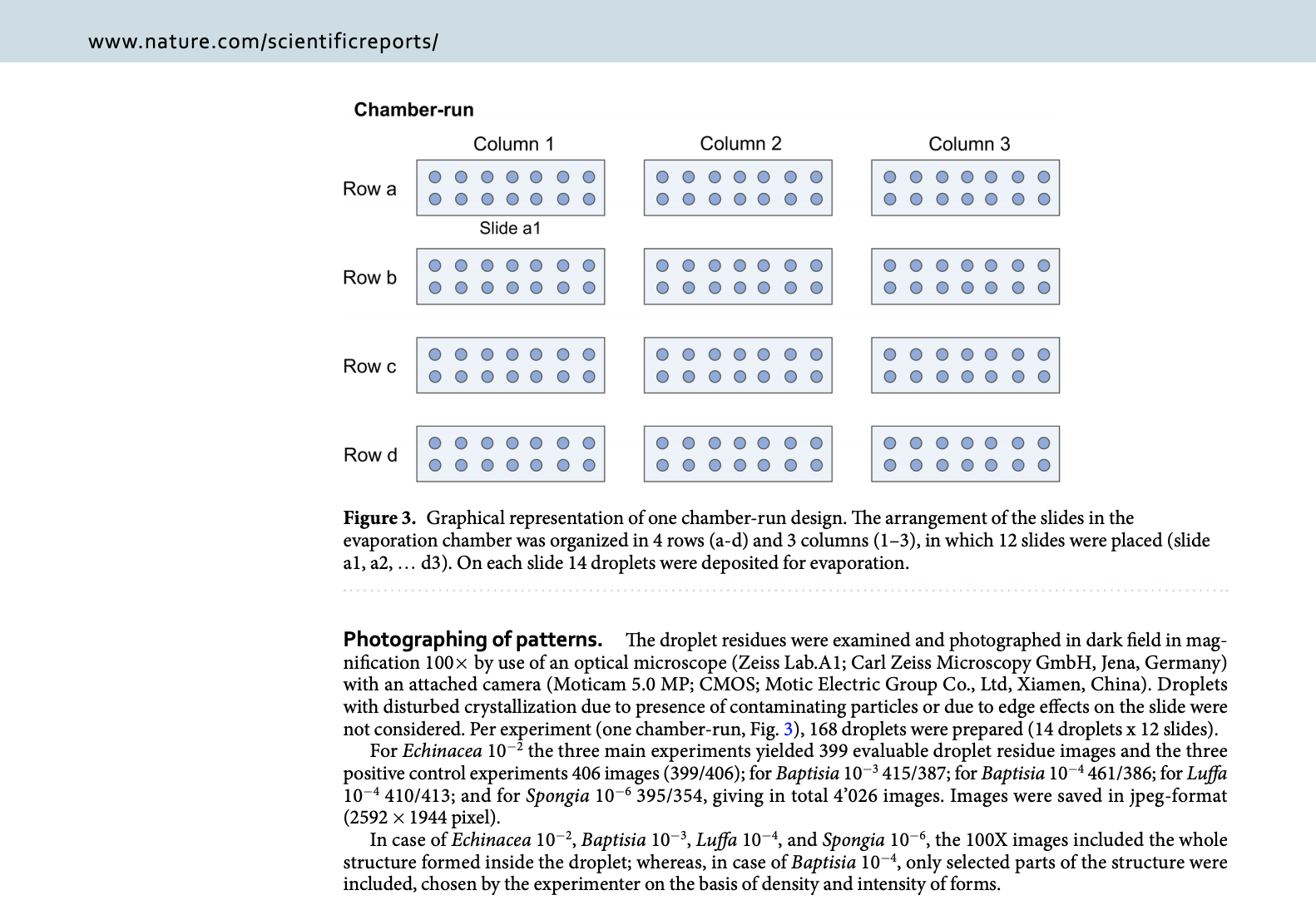 risultati dello studio sulla succussione del medicinale omeopatico