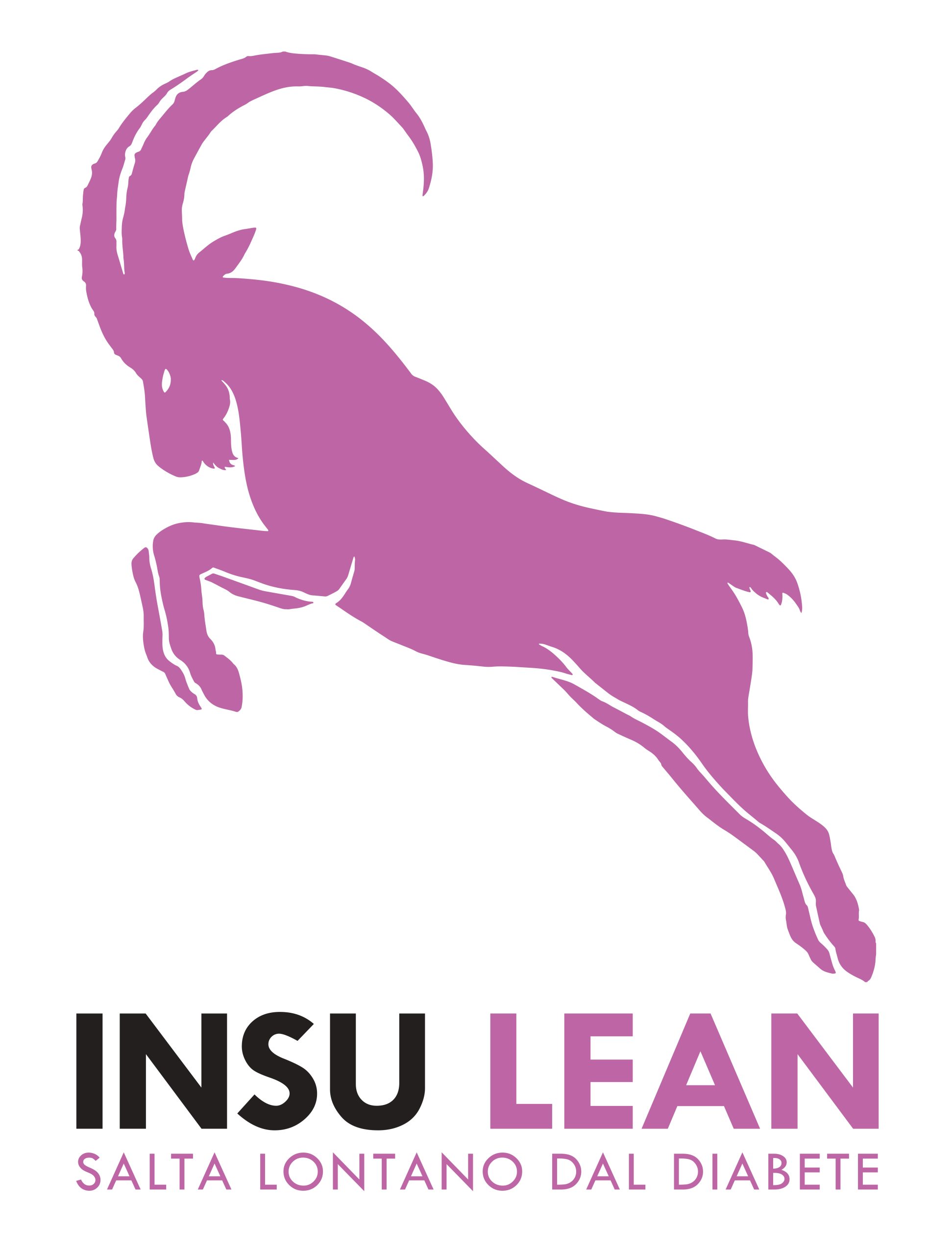 Logo verticale Insu Lean